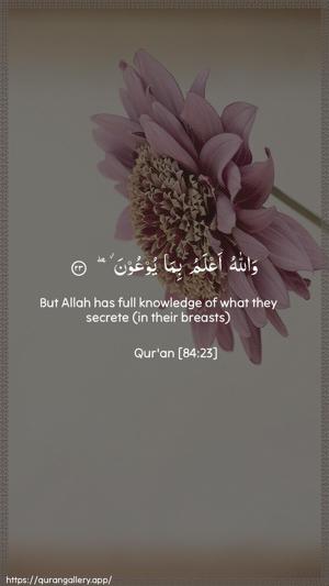 Al-Inshiqaaq Ayah 23 - Arabic + English wallpaper