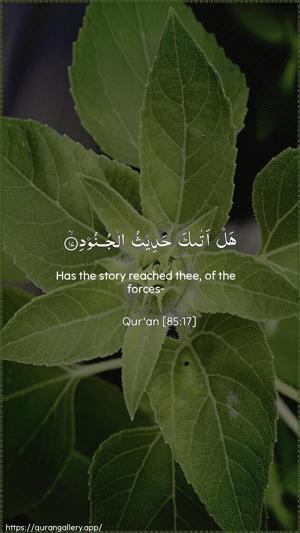 Al-Burooj Ayah 17 - Arabic + English wallpaper
