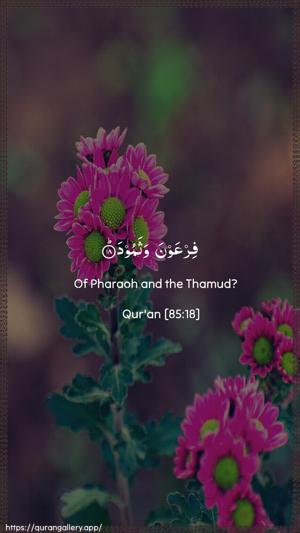 Al-Burooj Ayah 18 - Arabic + English wallpaper