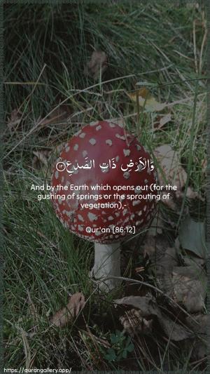 At-Taariq Ayah 12 - Arabic + English wallpaper