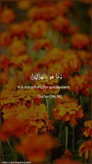 At-Taariq Ayah 14 - Arabic + English wallpaper