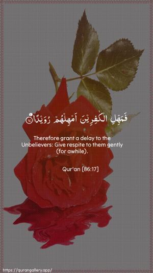 At-Taariq Ayah 17 - Arabic + English wallpaper