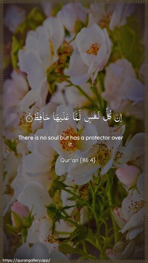 At-Taariq Ayah 4 - Arabic + English wallpaper