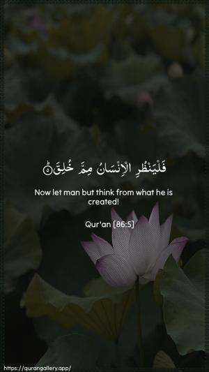 At-Taariq Ayah 5 - Arabic + English wallpaper
