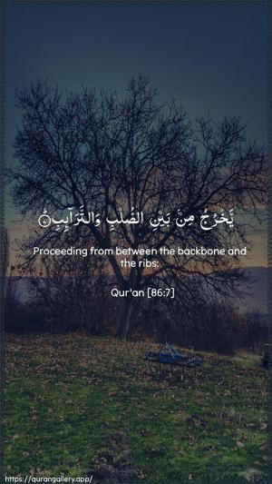 At-Taariq Ayah 7 - Arabic + English wallpaper