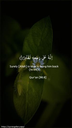 At-Taariq Ayah 8 - Arabic + English wallpaper