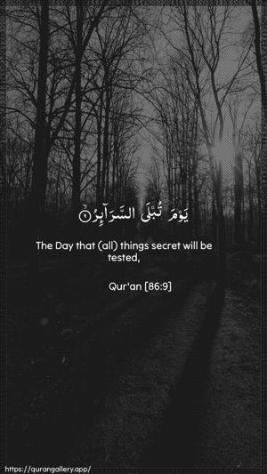 At-Taariq Ayah 9 - Arabic + English wallpaper