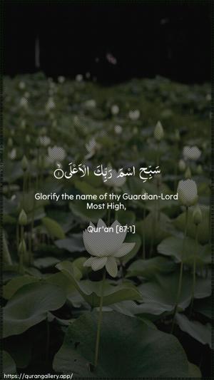 Al-A"laa Ayah 1 - Arabic + English wallpaper