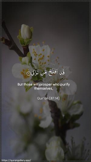 Al-A"laa Ayah 14 - Arabic + English wallpaper