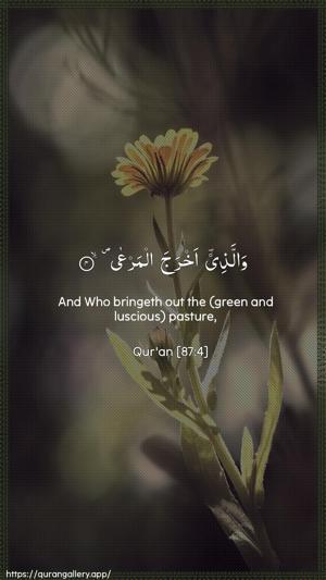 Al-A"laa Ayah 4 - Arabic + English wallpaper