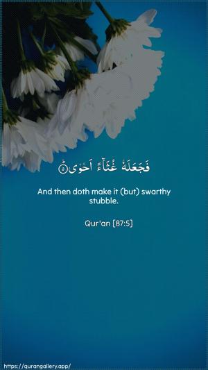 Al-A"laa Ayah 5 - Arabic + English wallpaper