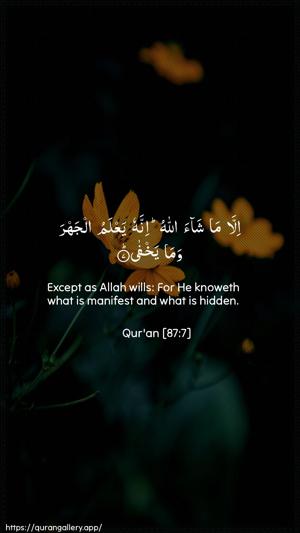 Al-A"laa Ayah 7 - Arabic + English wallpaper