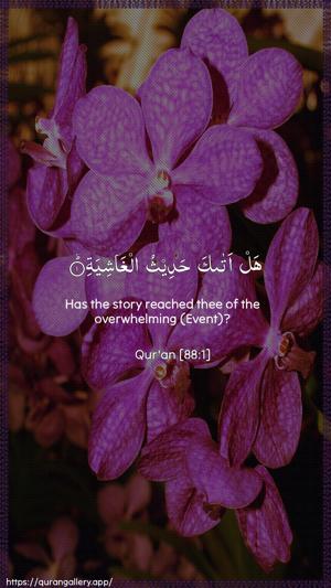 Al-Ghaashiya Ayah 1 - Arabic + English wallpaper
