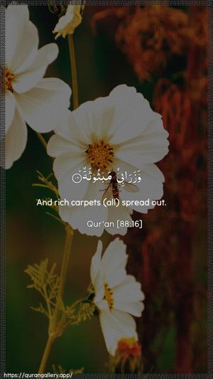 Al-Ghaashiya Ayah 16 - Arabic + English wallpaper