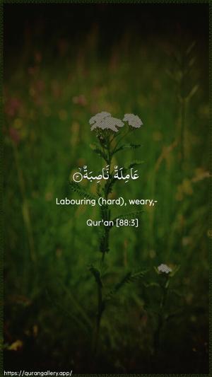 Al-Ghaashiya Ayah 3 - Arabic + English wallpaper