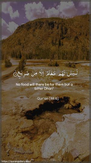 Al-Ghaashiya Ayah 6 - Arabic + English wallpaper