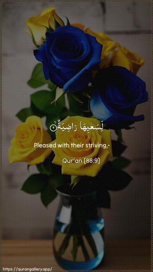 Al-Ghaashiya Ayah 9 - Arabic + English wallpaper