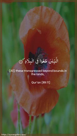 Al-Fajr Ayah 11 - Arabic + English wallpaper