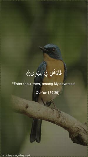 Al-Fajr Ayah 29 - Arabic + English wallpaper