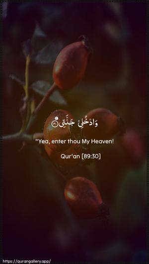 Al-Fajr Ayah 30 - Arabic + English wallpaper