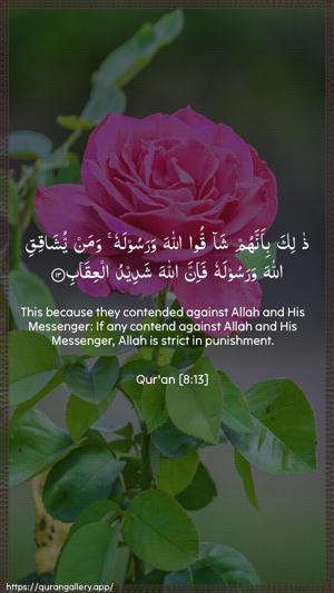 Al-Anfaal Ayah 13 - Arabic + English wallpaper