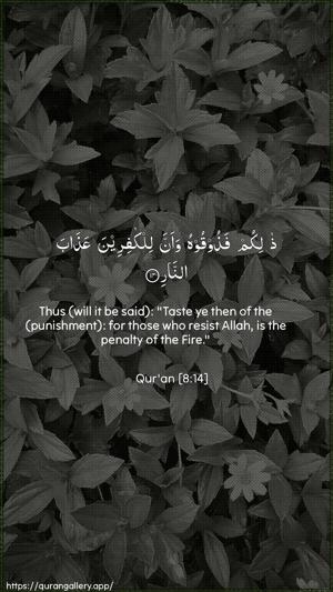Al-Anfaal Ayah 14 - Arabic + English wallpaper
