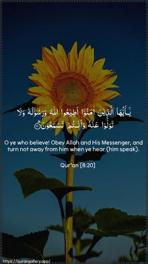 Al-Anfaal Ayah 20 - Arabic + English wallpaper