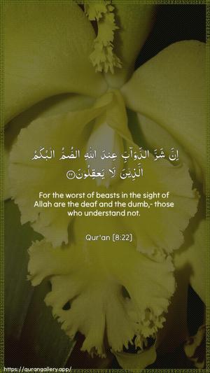 Al-Anfaal Ayah 22 - Arabic + English wallpaper