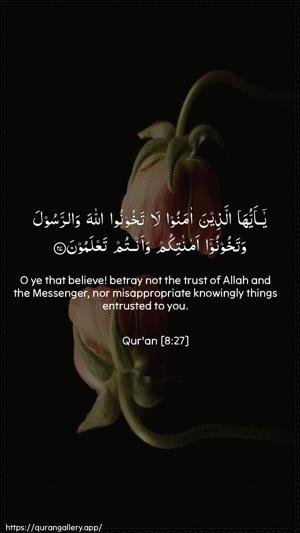 Al-Anfaal Ayah 27 - Arabic + English wallpaper