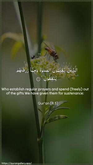 Al-Anfaal Ayah 3 - Arabic + English wallpaper