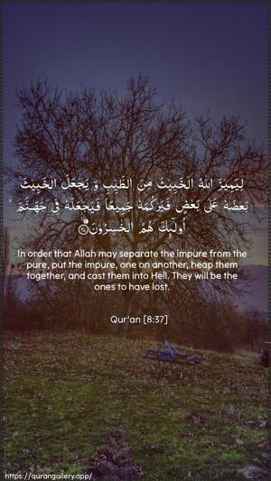 Al-Anfaal Ayah 37 - Arabic + English wallpaper