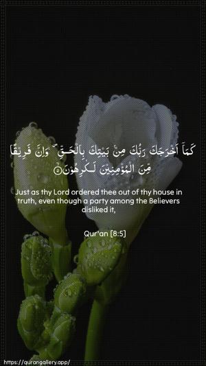 Al-Anfaal Ayah 5 - Arabic + English wallpaper