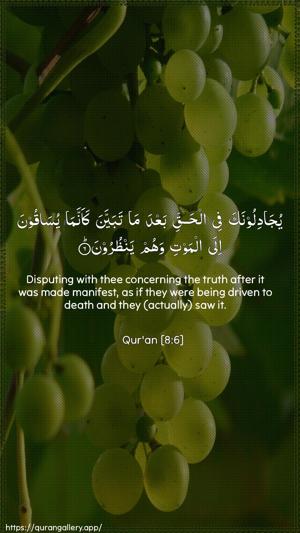 Al-Anfaal Ayah 6 - Arabic + English wallpaper