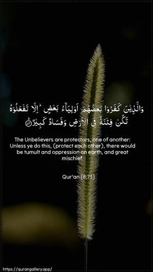 Al-Anfaal Ayah 73 - Arabic + English wallpaper