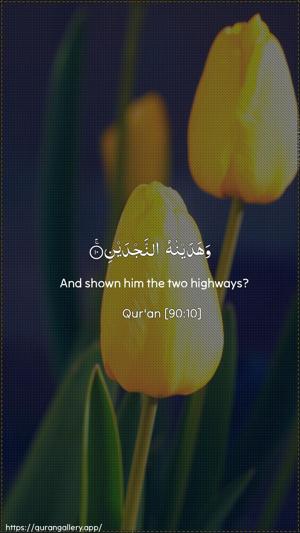 Al-Balad Ayah 10 - Arabic + English wallpaper
