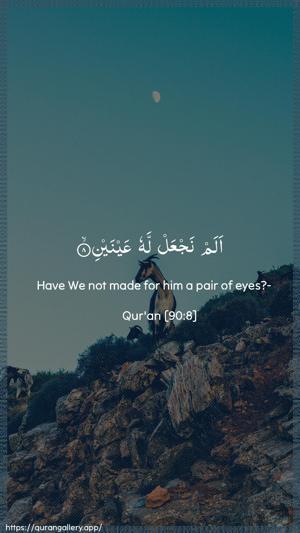 Al-Balad Ayah 8 - Arabic + English wallpaper