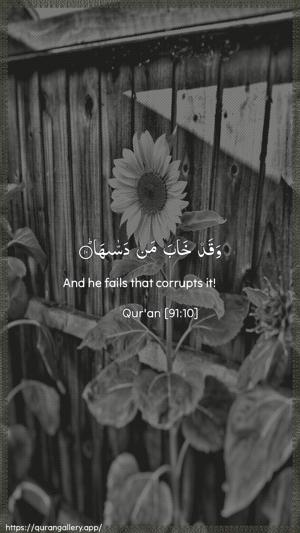 Ash-Shams Ayah 10 - Arabic + English wallpaper