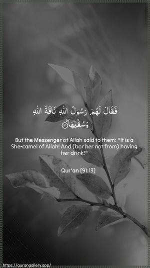 Ash-Shams Ayah 13 - Arabic + English wallpaper