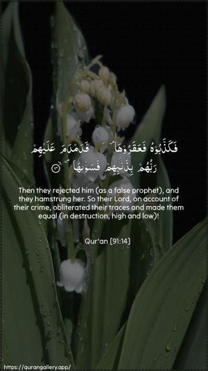 Ash-Shams Ayah 14 - Arabic + English wallpaper