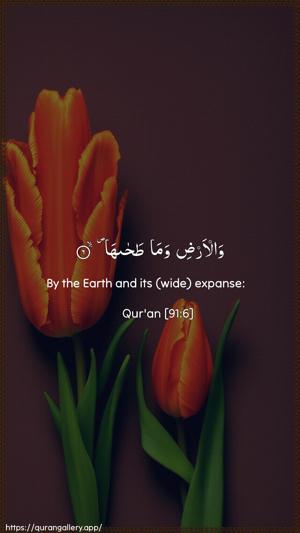 Ash-Shams Ayah 6 - Arabic + English wallpaper