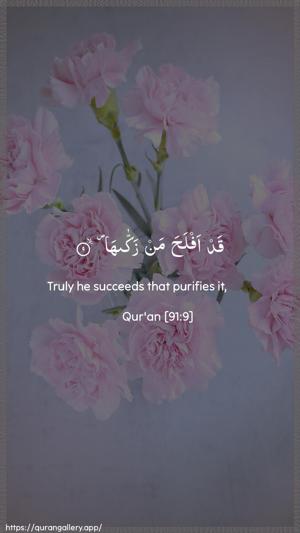 Ash-Shams Ayah 9 - Arabic + English wallpaper