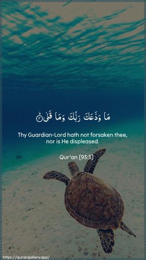 Ad-Dhuhaa Ayah 3 - Arabic + English wallpaper