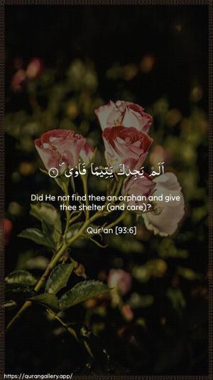 Ad-Dhuhaa Ayah 6 - Arabic + English wallpaper