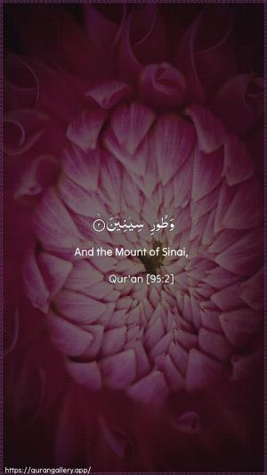 At-Tin Ayah 2 - Arabic + English wallpaper