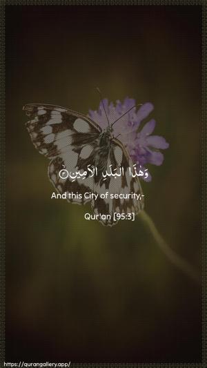 At-Tin Ayah 3 - Arabic + English wallpaper