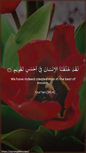 At-Tin Ayah 4 - Arabic + English wallpaper