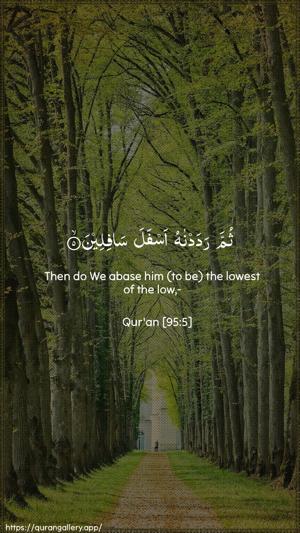 At-Tin Ayah 5 - Arabic + English wallpaper