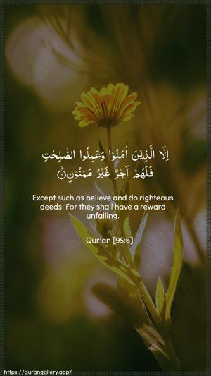 At-Tin Ayah 6 - Arabic + English wallpaper