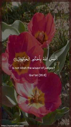 At-Tin Ayah 8 - Arabic + English wallpaper