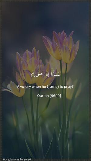Al-Alaq Ayah 10 - Arabic + English wallpaper